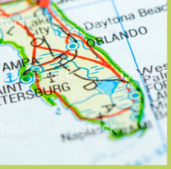 HVS Florida Success Story
